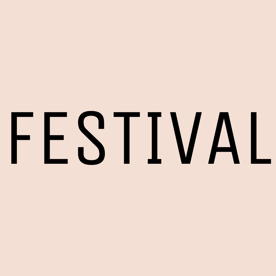 FestivalNN